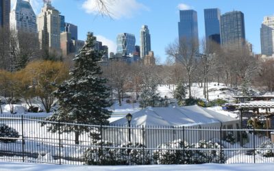 Plan a Trip to New York City at Christmas